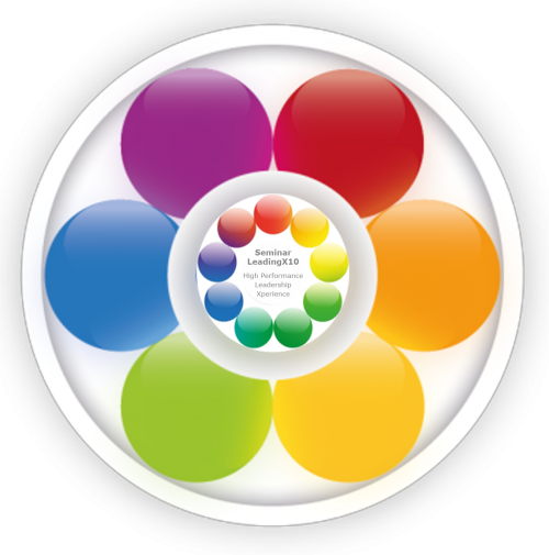 HIGH PERFORMANCE LEADING CULTURE – Projektbild